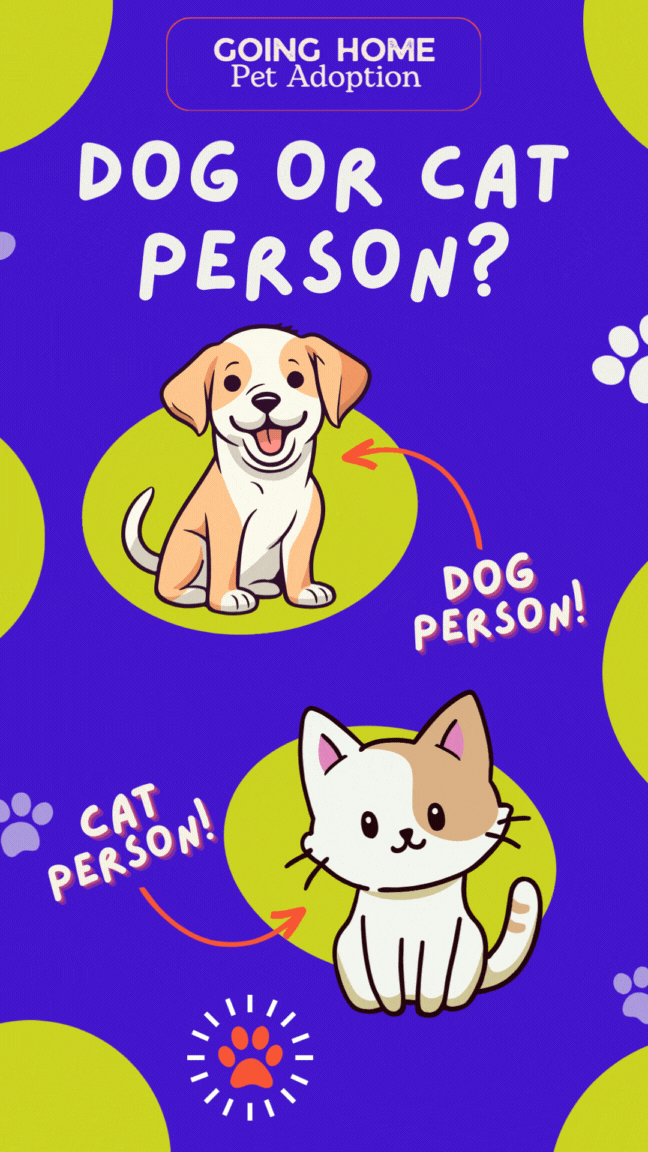 Dog or Cat Person
