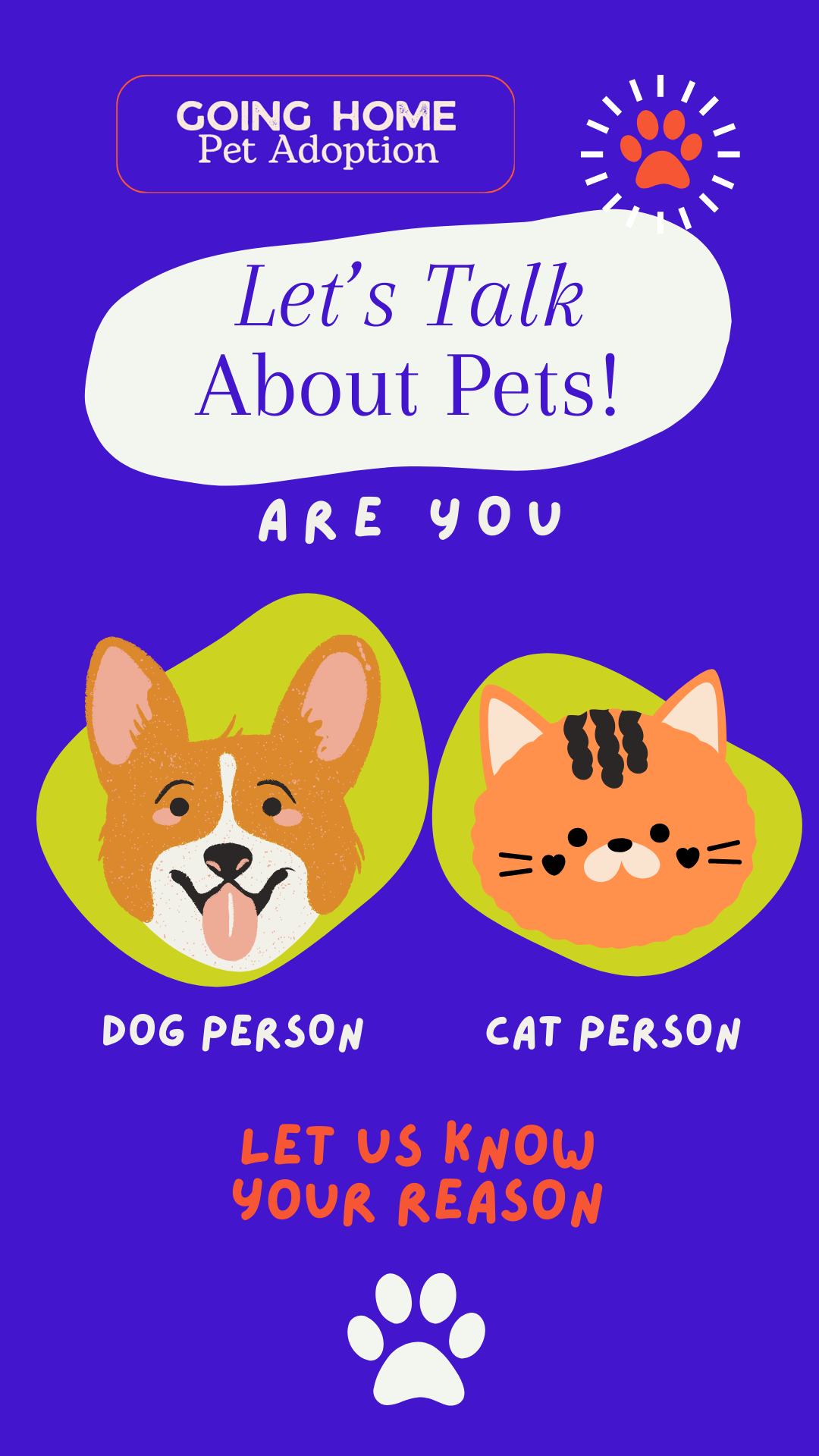 Let's Talk Pets