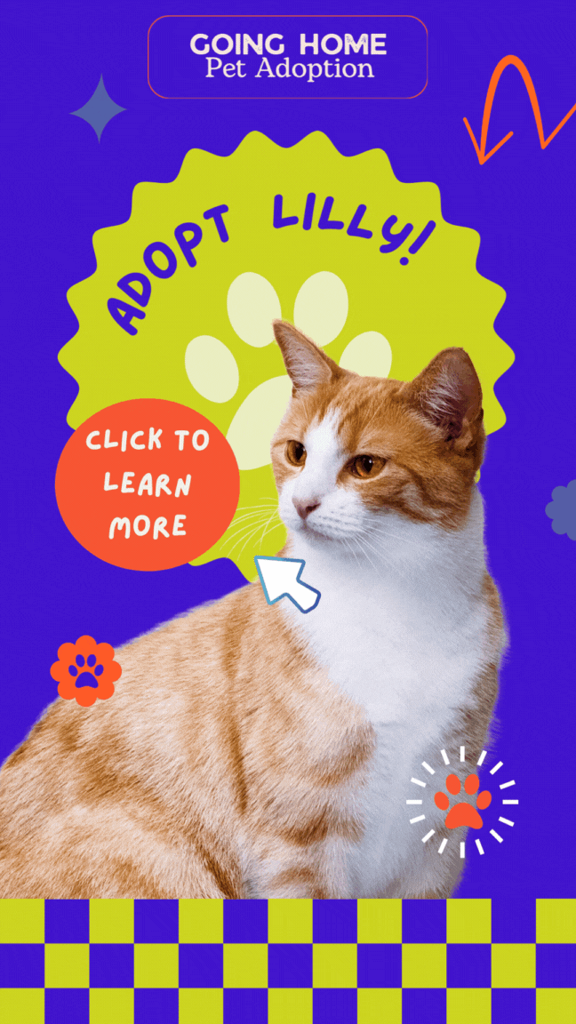 Adopt Lilly